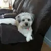 Lucy Herring - @snowy49 - TikTok