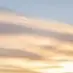lucyy_herring544329 - @lucyy_herring544329 - TikTok