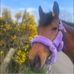Lucy Higgins - Facebook