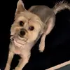 Lucy Higgins - @lucy.higgins7 - TikTok