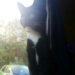 Lucy Grace Hinson 😽 - @lucygracehinson - Instagram