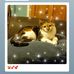 Lucy Hinson - Facebook