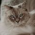 Lucy Hodson - Facebook