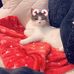 Lucy Holley - Facebook