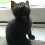 Lucy Hopper - Facebook