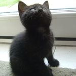 Lucy Hopper - @lucy.hopper1973 - Instagram
