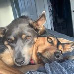 Lucy Hopper - @luhopper - Instagram