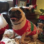 Lucy Hopper - @lucyrosehops - Instagram
