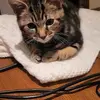 Lucy - @lucyhopper4 - TikTok