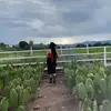 Lucy🇲🇽 - @lucy_huerta - TikTok
