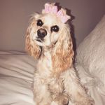 Lucy Huffman - @lucymayhuffman - Instagram