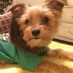 Lucy Marie Austin-Huff - @lulumagoots - Instagram