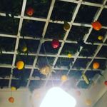 Lucy Ireland - @ireland228 - Instagram