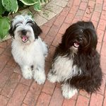 Lucy & Toby Irwin - @lucy.n.toby1620 - Instagram