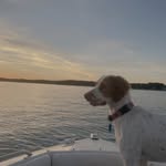 Lucy Jamison - @lucyjam.dog - Instagram