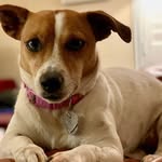 Lucy Jamison Way - @lucyway2cute - Instagram