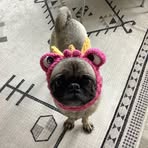 Lucy Jane - Facebook