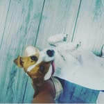 lucy jara - @lucy_cuty_094 - Instagram