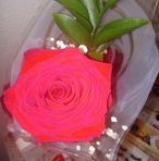 Lucy Jara - Facebook