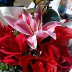 Lucy Jara - Facebook