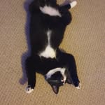 Hope, Lucy & Jasper - @hope_lucy_jasper - Instagram