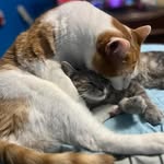 Jasper & Lucy - @jasper_n_lucy - Instagram