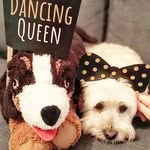 Lucy and Jasper - @lucy_jasper_doggos - Instagram