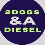 Lucy and Jasper - @2dogs_and_a_diesel - Instagram