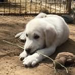 Lucy Jasper - Facebook