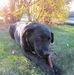 Lucy Jean Behne - Facebook