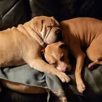 Lucy Jefferson - @wheresjuicylucy - Instagram