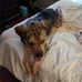 Lucy Jordan - Facebook