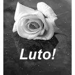 Lucy Jorge - @lucy.jorge.750 - Instagram