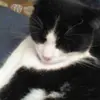 Lucy Joyce - @lucy.joyce73 - TikTok