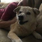 Lucy Kelley - @lucy_lu_kelley - Instagram