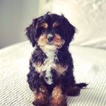 Lucy Kidd - @i.love.lucy.2021 - Instagram