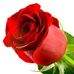 Lucy Kiefer - Facebook