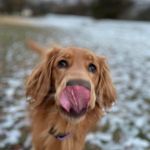 Lucy Knowles - @lucylucy1235 - Instagram