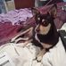 Lucy Knowles - Facebook