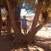 Lucy Knowles - @lucyknowles29 - TikTok