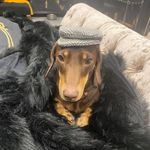 Lucy Knowles (Old Account) - @lucy508_ - Instagram