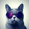 Lucykorn - @lucykorn - TikTok