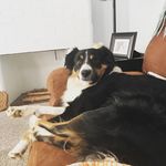 Lucy Kramer - @lucymaek2 - Instagram