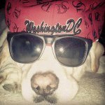 Lucy Kramer - @lucygoosey05 - Instagram