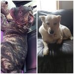 ♡Lucy & Lacey - @lucy_lacey_spam2019 - Instagram