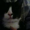 Lucy. Lacey - @lucynehgsjg - TikTok