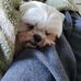 Lucy Lake - Facebook