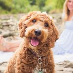 Lucy Lake Rucinski - @lucy_lake_rudog - Instagram