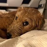 Lucy Lakeland - @lucy_lakeland_ - Instagram