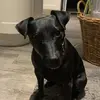 lucylakelandpatterda - @lucylakelandpatterdale - TikTok